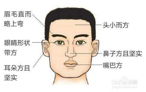 木型人|【木型人】木型人的面相特徵、判斷法和注意事項，一。